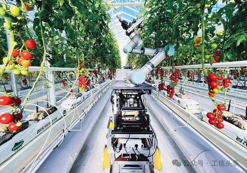 “人工智能+”:“+”什么、如何“+” “人工智能+”:“+”什么、如何“+”