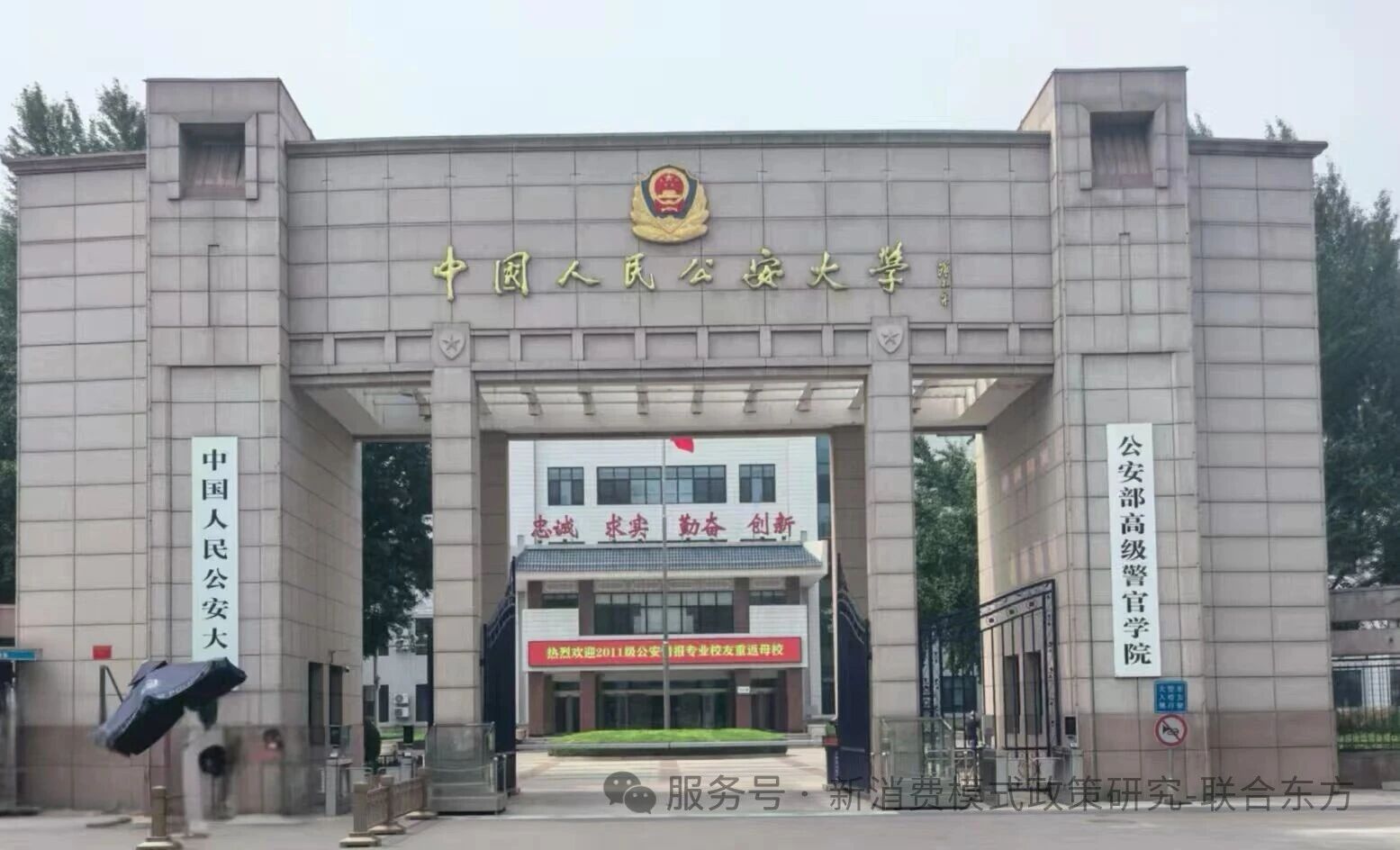 1761892750198377.jpg cfe569bf8bdacb7414102cb13654249a.jpg